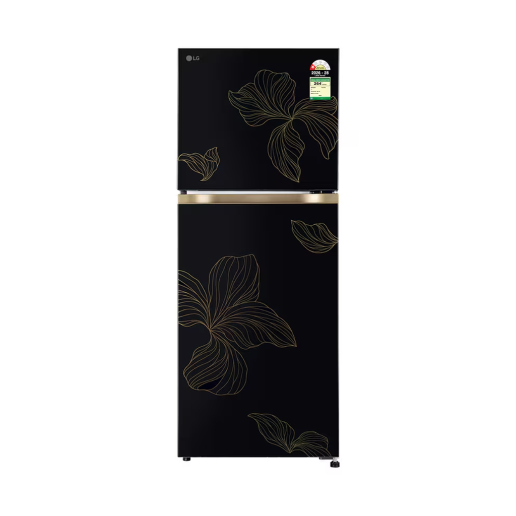 LG 225L Double Door Refrigerator, Smart Mode, Fresh Zone, Radiant Onyx, 1 Star