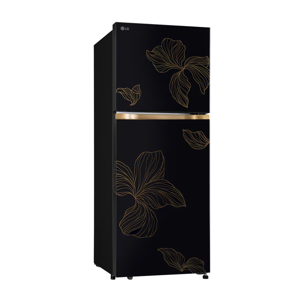 LG 225L Double Door Refrigerator, Smart Mode, Fresh Zone, Radiant Onyx, 1 Star