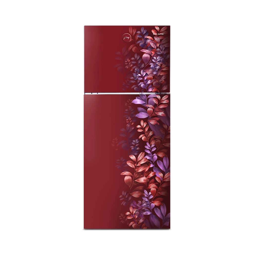Godrej Eon Alpha 238 Litres 2 Star Frost Free Double Door Refrigerator with Nano Shield Technology (RT EONALPHA 270BN RI BA WN) (2026 Model)