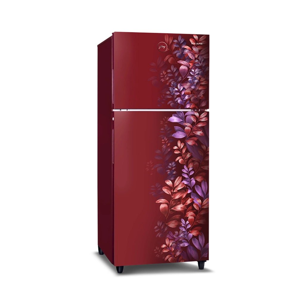 Godrej Eon Alpha 238 Litres 2 Star Frost Free Double Door Refrigerator with Nano Shield Technology (RT EONALPHA 270BN RI BA WN) (2026 Model)