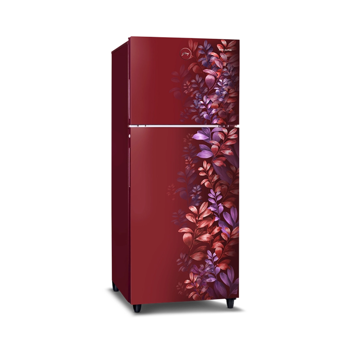 Godrej Eon Alpha 238 Litres 2 Star Frost Free Double Door Refrigerator with Nano Shield Technology (RT EONALPHA 270BN RI BA WN) (2026 Model)