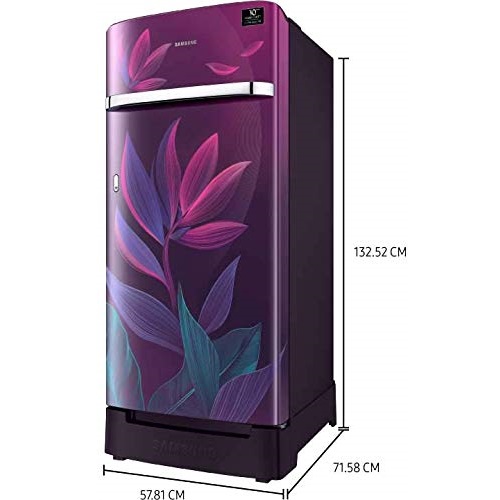 Samsung 198 L 5 Star Inverter Direct-Cool Single Door Refrigerator